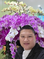 Lệnh Hồ Xung 