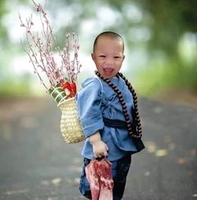 Li Mít