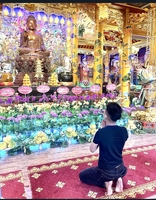 Đức Dương BĐS