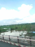 Nguyentranthanh