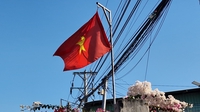 An Thái