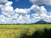Dương Hữu Nghĩa