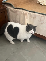 Miu