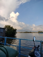 nhok