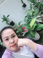 Thanh