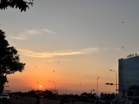 Trân Trân