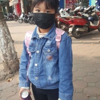 Minh Anh