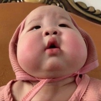 Ngan