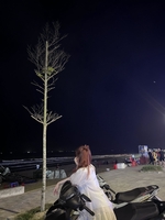 dinh thi hien