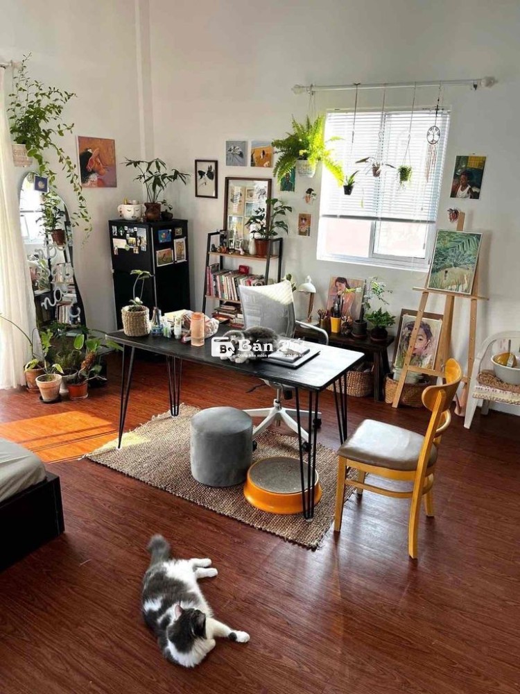 Cho Thuê Phòng 35m2, Studio, Ban Công, Cửa Sổ, Hẻm 40 Nguyễn Văn Đậu
