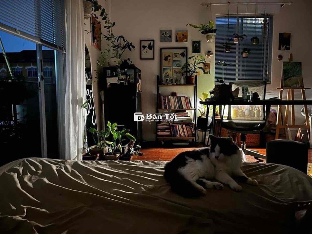 Cho Thuê Phòng 35m2, Studio, Ban Công, Cửa Sổ, Hẻm 40 Nguyễn Văn Đậu