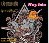 Cám Chim Huy Bảo