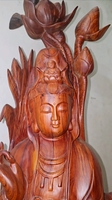 Nguyễn Đăng Cảnh