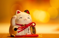 Người Vận Chuyển 79