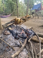 Văn