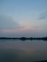 bthi