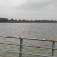 Cố Gắng Thôi Chưa Đủ