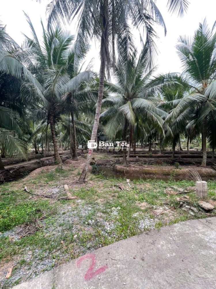 140m2 ĐẤT Ở NÔNG THÔN GIÁ SIÊU HẤP DẪN - TIỀN GIANG