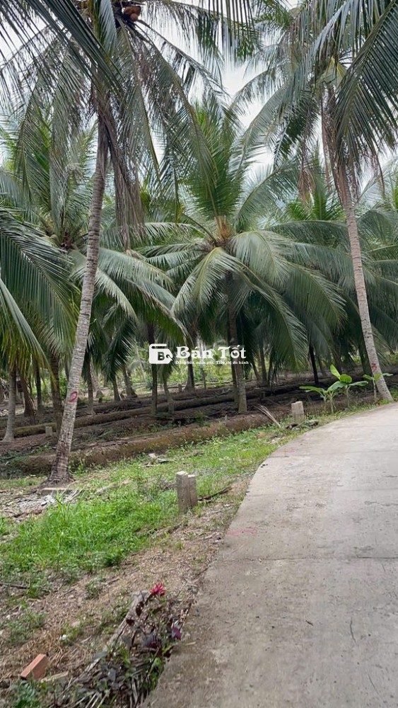 140m2 ĐẤT Ở NÔNG THÔN GIÁ SIÊU HẤP DẪN - TIỀN GIANG