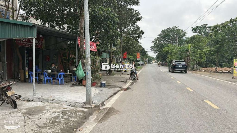 🌿 Cơ hội sở hữu đất vàng tại khu vực đắc địa - Đông Anh, Hà Nội! 🌿  