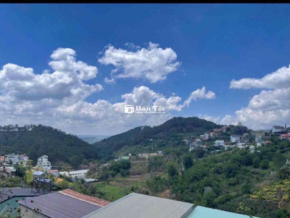 ĐẤT VIEW RỪNG THÔNG HOÀNG HOA THÁM 300m2 NGANG 16m ĐƯỜNG BẰNG PHẲNG