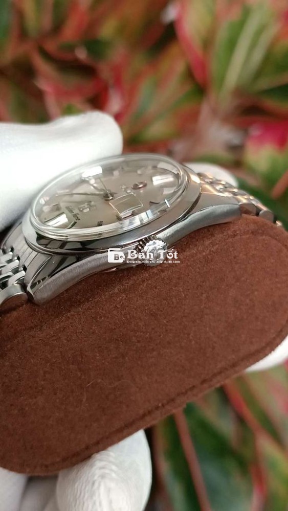 Rado 2 Cá Ngựa Xưa Rado Song Mã Đẹp Xuất Sắc – Mẫu Đồng Hồ Cổ Đẳng Cấp