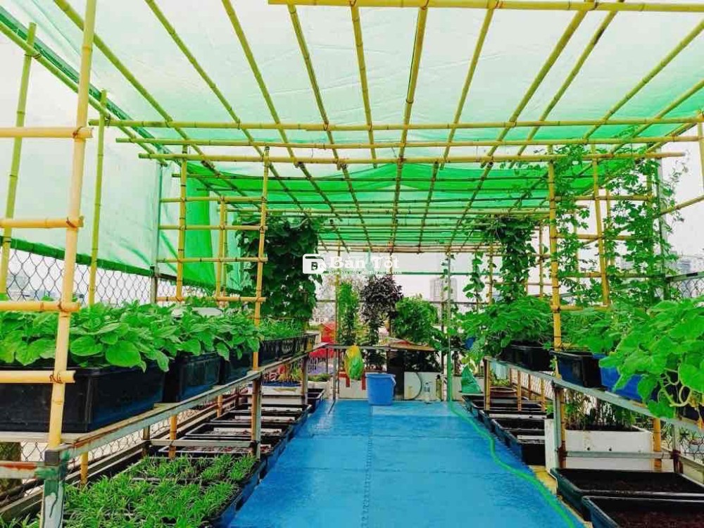 Bán nhà riêng Nguyễn An Ninh phân lô ngõ thông KD 60m2 x6T