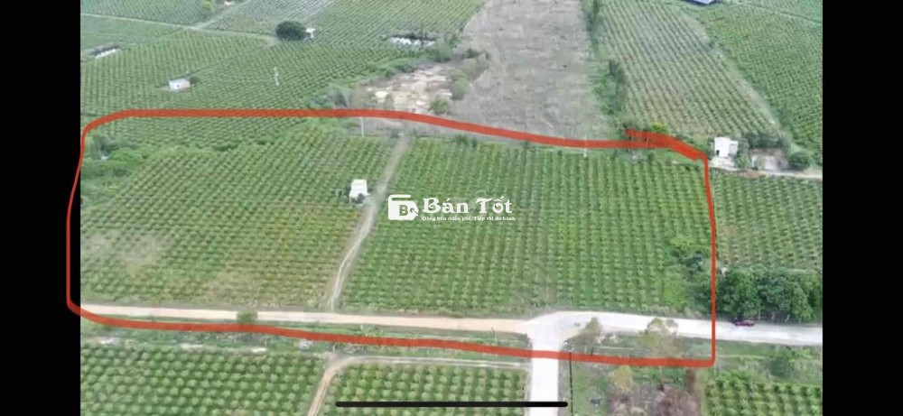 2ha Hàm Minh mặt đường xe conterner vào được