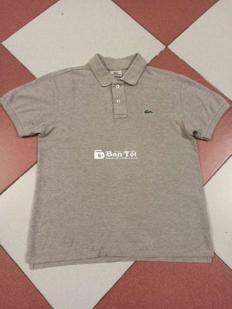 Áo Polo cá sấu