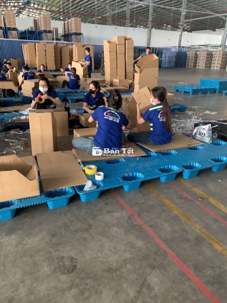 Tuyển LĐPT thời vụ làm đóng gói