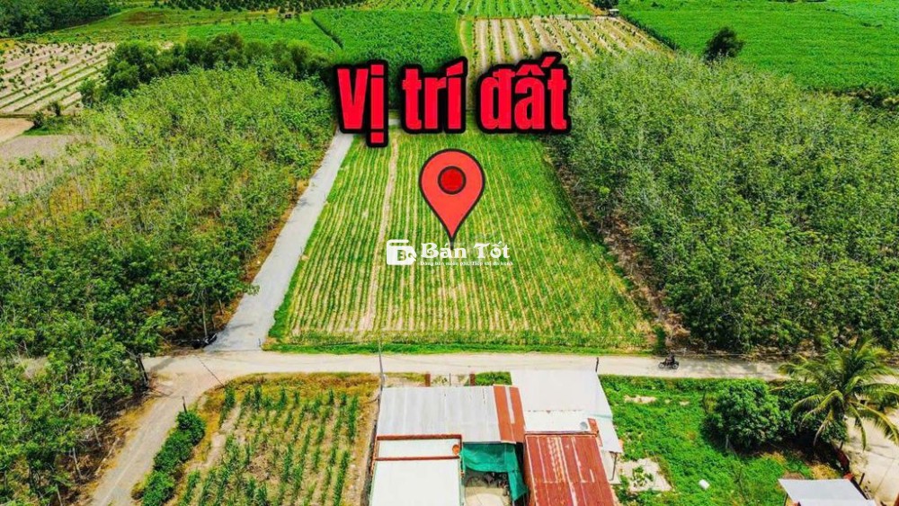 Đất 4, 2x40m đường tầm lanh