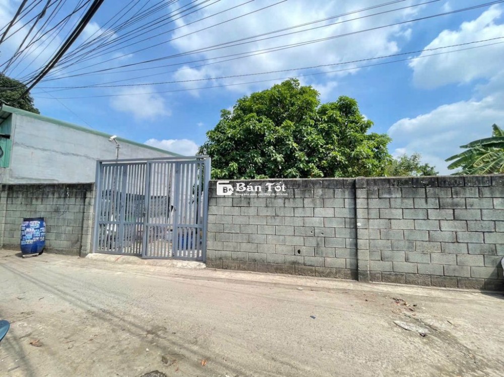 Bán đất gần Go Dĩ An, 115.3m2/2.5 tỷ, Đông Hòa, Dĩ An, Bình Dương, SHR