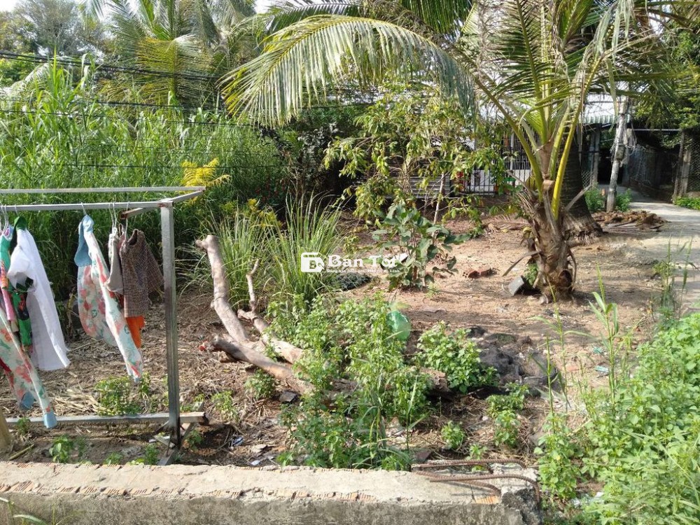 Bán đất nền