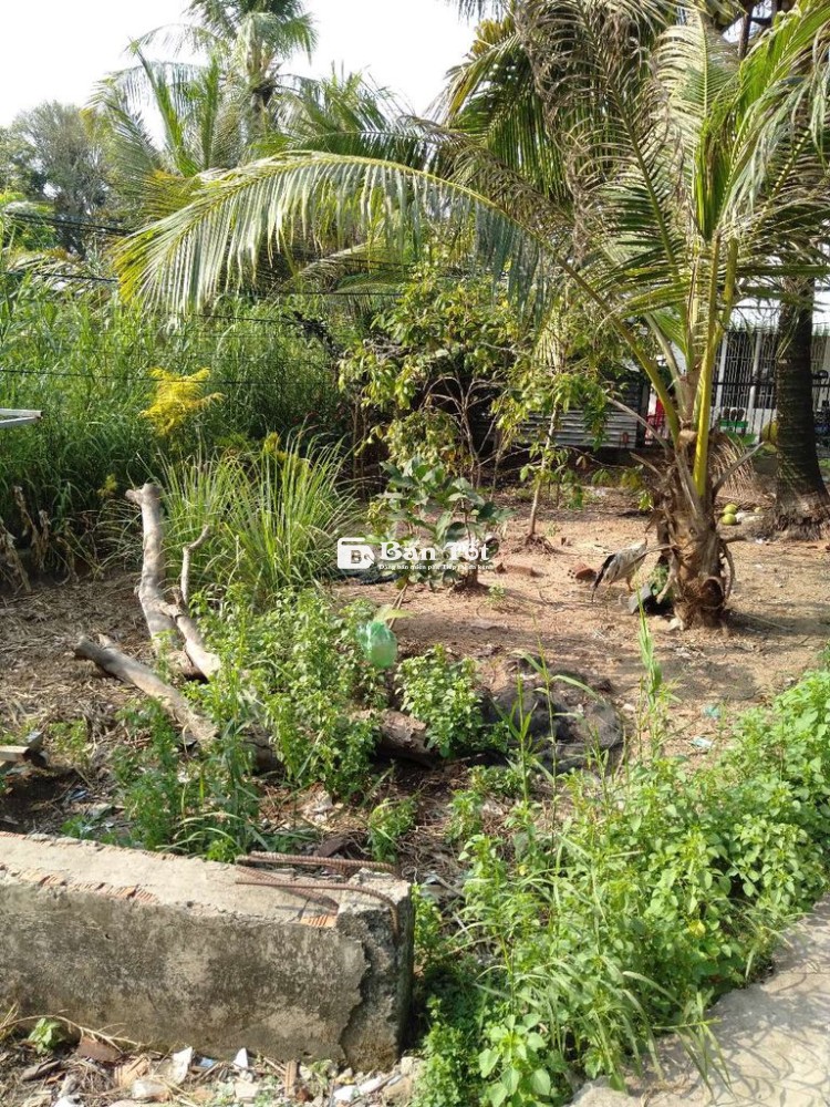 Bán đất nền