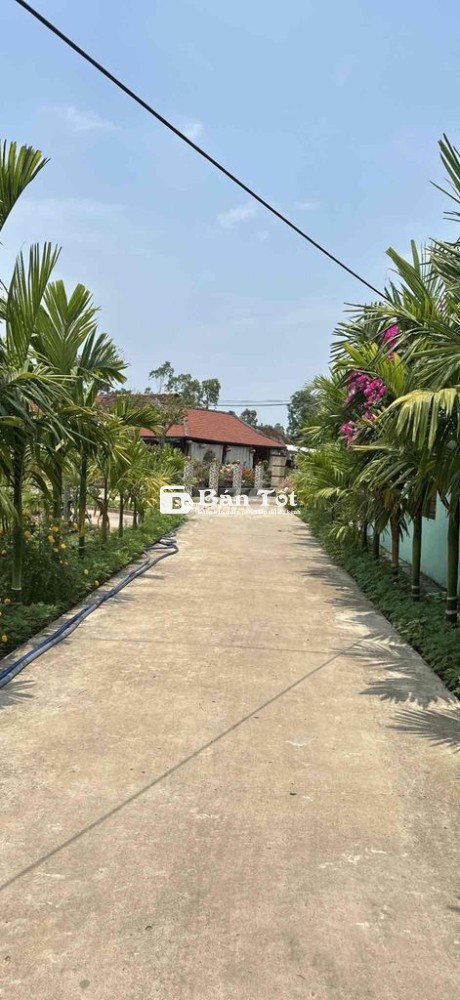 chào bán lô dt: 800m có 50m đất ở duy hoà quảng namcần lh***