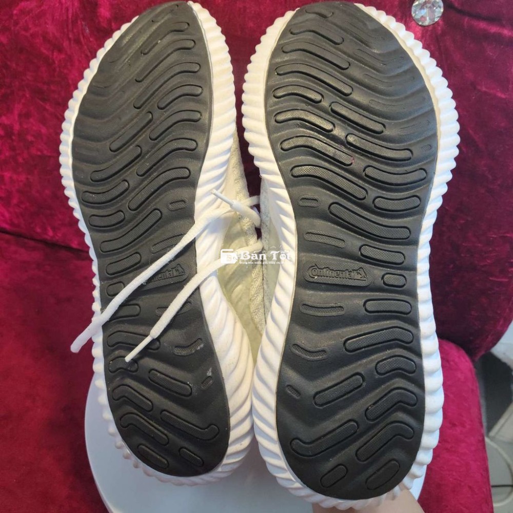 Giày chạy bộ adi size 43