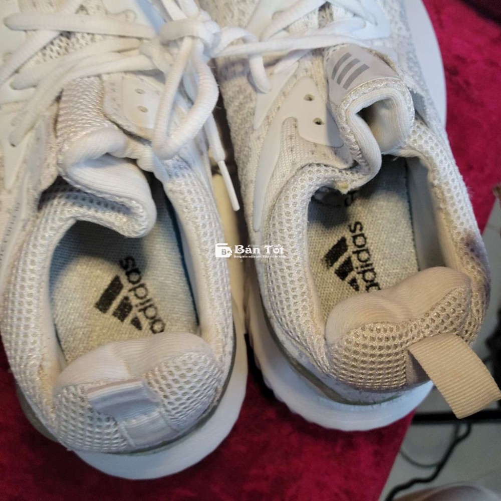 Giày chạy bộ adi size 43