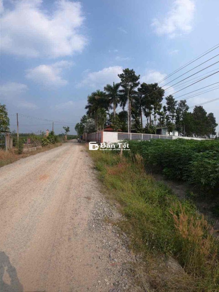Bán 2 nền đất gần khu công nghiệp Bến Củi - Xã Phước Minh, Huyện Dương