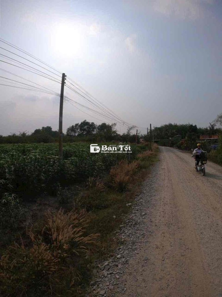 Bán 2 nền đất gần khu công nghiệp Bến Củi - Xã Phước Minh, Huyện Dương