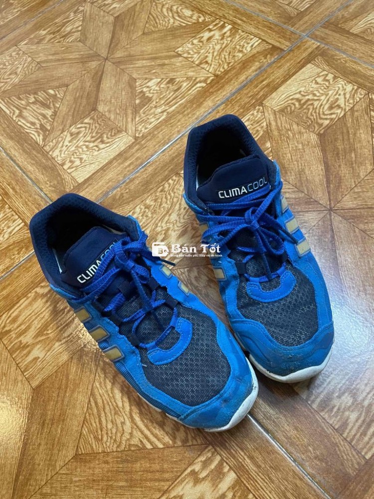Giầy thể thao nam size 40 41