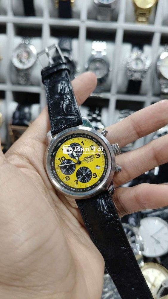 Đồng hồ Timex