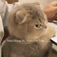 Nguyễn Đình Vũ