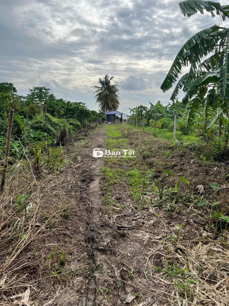 ban đất vườn lo ô tô 7500m2 có 150 odt