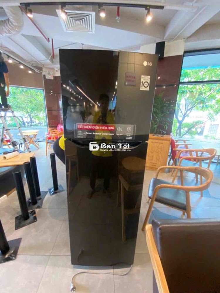 Tủ Lạnh LG Inverter 255L - Giá Hời!