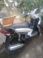 Dương
