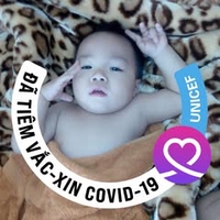 Thuan Trinh