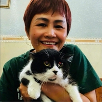 Bọ Cạp
