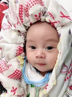 Tiến Lê