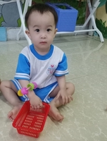 thúy an