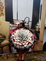 nguyễn hiền